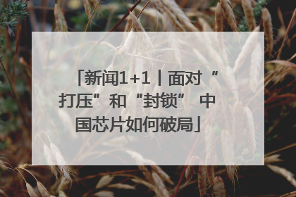 新闻1+1丨面对“打压”和“封锁” 中国芯片如何破局