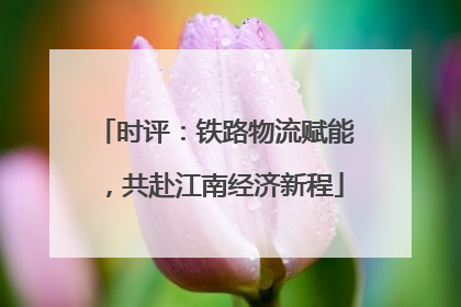 时评：铁路物流赋能，共赴江南经济新程