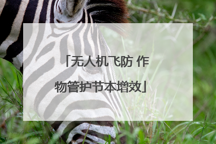无人机飞防 作物管护节本增效