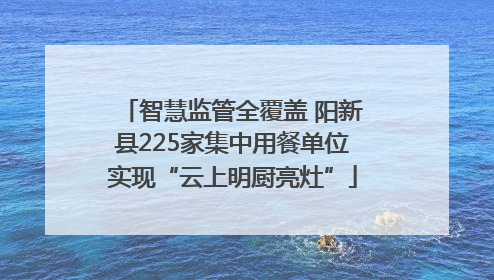 智慧监管全覆盖 阳新县225家集中用餐单位实现“云上明厨亮灶”