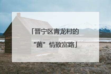 晋宁区青龙村的“菌”情致富路