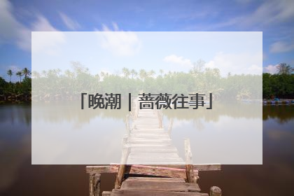 晚潮｜蔷薇往事