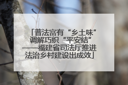 普法富有“乡土味” 调解巧织“平安结”——福建省司法厅推进法治乡村建设出成效