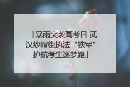 暴雨突袭高考日 武汉纱帽街执法“铁军”护航考生逐梦路