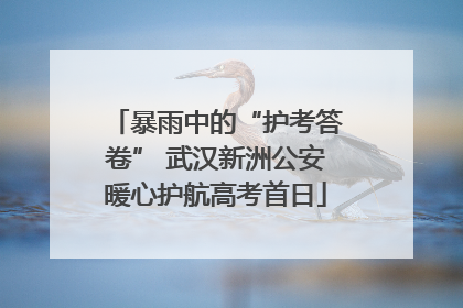 暴雨中的“护考答卷” 武汉新洲公安暖心护航高考首日