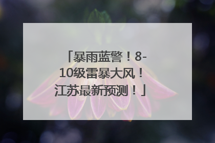 暴雨蓝警！8-10级雷暴大风！江苏最新预测！