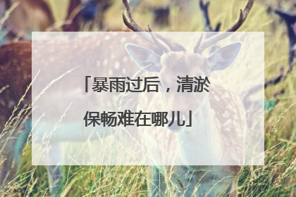 暴雨过后，清淤保畅难在哪儿