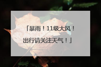 暴雨！11级大风！出行请关注天气！