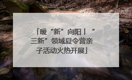 暖“新”向阳丨“三新”领域夏令营亲子活动火热开展