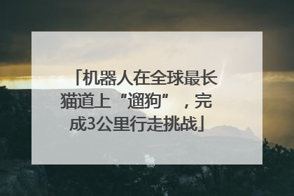 机器人在全球最长猫道上“遛狗”，完成3公里行走挑战