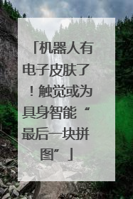 机器人有电子皮肤了！触觉或为具身智能“最后一块拼图”
