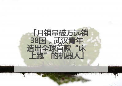 月销量破万远销38国，武汉青年造出全球首款“床上跑”的机器人