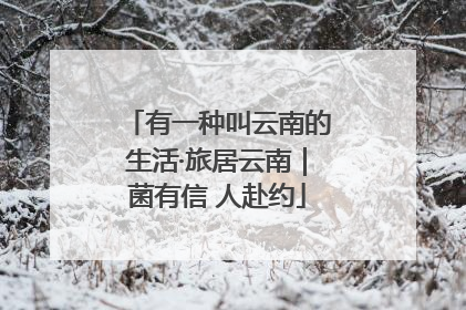 有一种叫云南的生活·旅居云南｜菌有信 人赴约