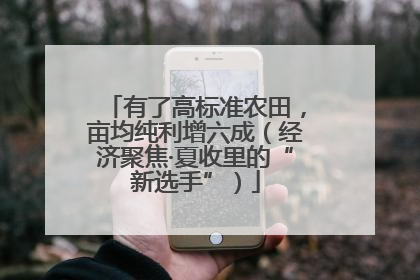 有了高标准农田，亩均纯利增六成（经济聚焦·夏收里的“新选手”）