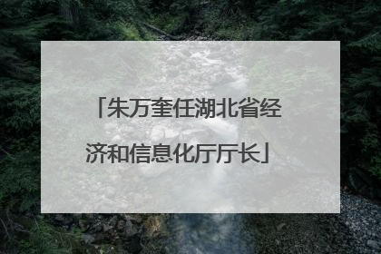朱万奎任湖北省经济和信息化厅厅长