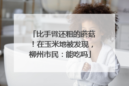 比手臂还粗的蘑菇！在玉米地被发现，柳州市民：能吃吗