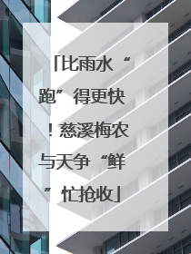比雨水“跑”得更快！慈溪梅农与天争“鲜”忙抢收