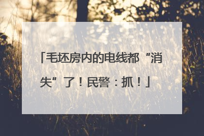 毛坯房内的电线都“消失”了！民警：抓！