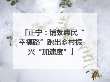正宁：铺就惠民“幸福路”跑出乡村振兴“加速度”