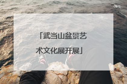 武当山盆景艺术文化展开展