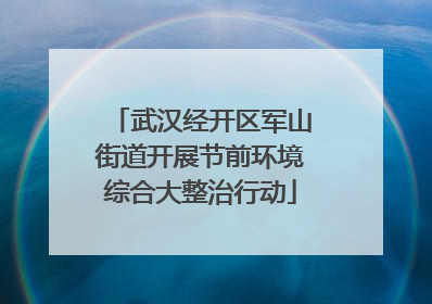 武汉经开区军山街道开展节前环境综合大整治行动