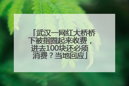 武汉一网红大桥桥下被指圈起来收费，进去100块还必须消费？当地回应