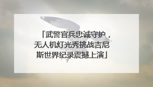 武警官兵忠诚守护，无人机灯光秀挑战吉尼斯世界纪录震撼上演