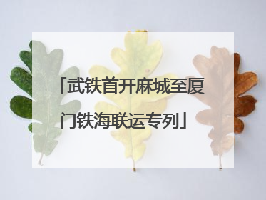 武铁首开麻城至厦门铁海联运专列