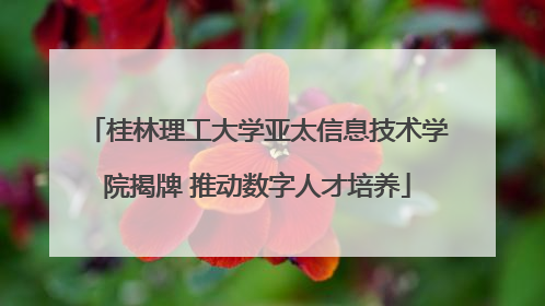 桂林理工大学亚太信息技术学院揭牌 推动数字人才培养