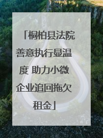 桐柏县法院善意执行显温度 助力小微企业追回拖欠租金