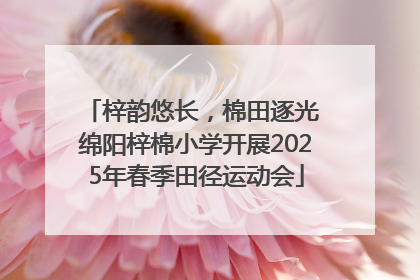 梓韵悠长，棉田逐光 绵阳梓棉小学开展2025年春季田径运动会