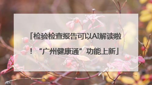 检验检查报告可以AI解读啦！“广州健康通”功能上新