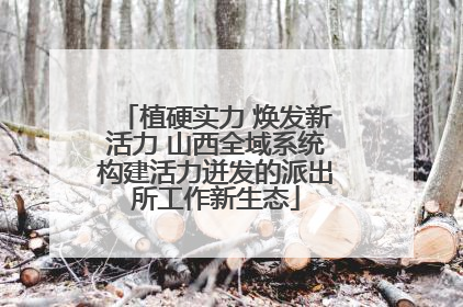 植硬实力 焕发新活力 山西全域系统构建活力迸发的派出所工作新生态