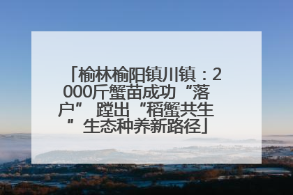 榆林榆阳镇川镇：2000斤蟹苗成功“落户” 蹚出“稻蟹共生”生态种养新路径
