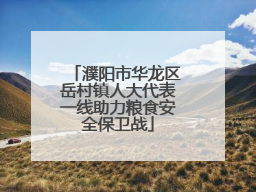 濮阳市华龙区岳村镇人大代表一线助力粮食安全保卫战