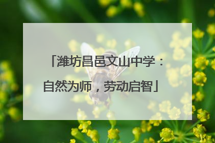 潍坊昌邑文山中学：自然为师，劳动启智