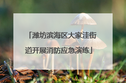潍坊滨海区大家洼街道开展消防应急演练