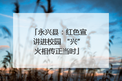 永兴县：红色宣讲进校园 “兴”火相传正当时
