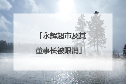 永辉超市及其董事长被限消