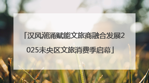 汉风潮涌赋能文旅商融合发展2025未央区文旅消费季启幕