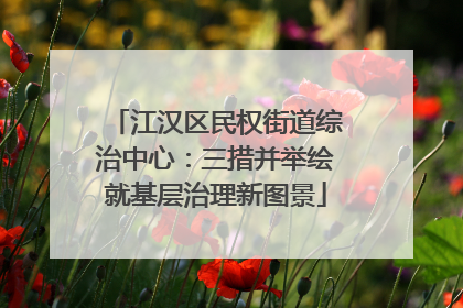 江汉区民权街道综治中心：三措并举绘就基层治理新图景