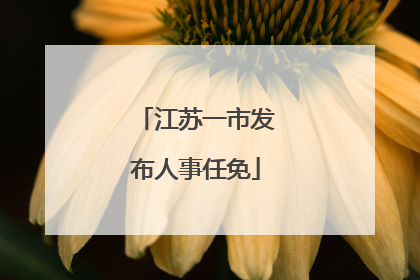 江苏一市发布人事任免