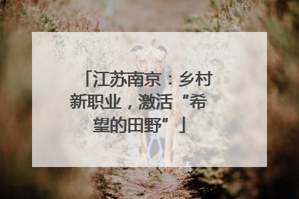 江苏南京：乡村新职业，激活“希望的田野”