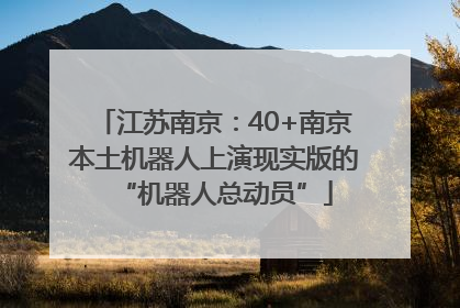 江苏南京：40+南京本土机器人上演现实版的“机器人总动员”