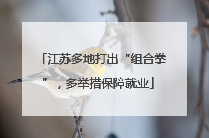 江苏多地打出“组合拳”，多举措保障就业