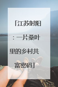 江苏射阳：一片桑叶里的乡村共富密码