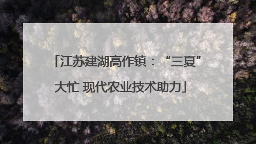 江苏建湖高作镇：“三夏”大忙 现代农业技术助力