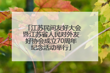 江苏民间友好大会暨江苏省人民对外友好协会成立70周年纪念活动举行
