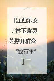 江西乐安：林下紫灵芝撑开群众“致富伞”