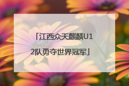 江西众天麒麟U12队勇夺世界冠军